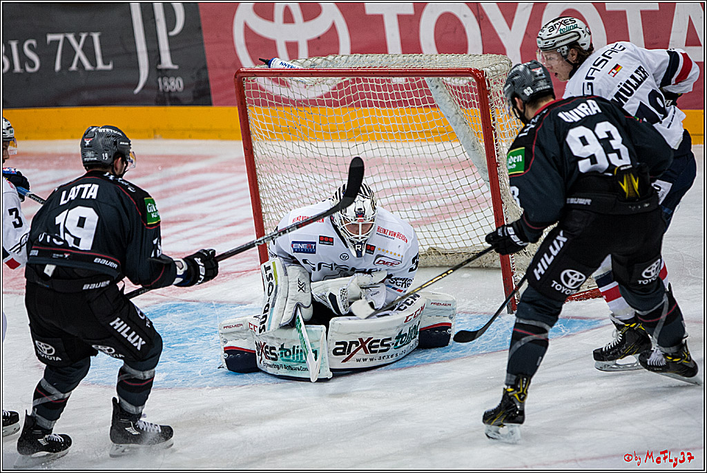 Koelner Haie - Eisbaeren Berlin, 13.11.2016